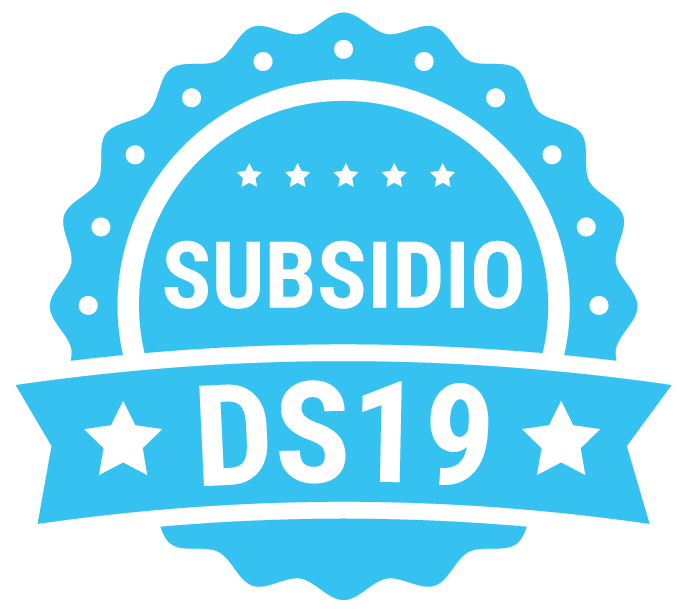 SUBSIDIO DS19